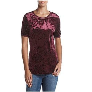 Philosophy Republic Clothing Velvet Burgundy Top
